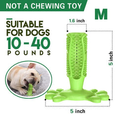 Toothbrush For Dog